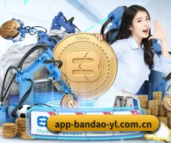 市场拓展 - 注册用户突破500万,与多家国际顶级内容供应商建立战略合作。